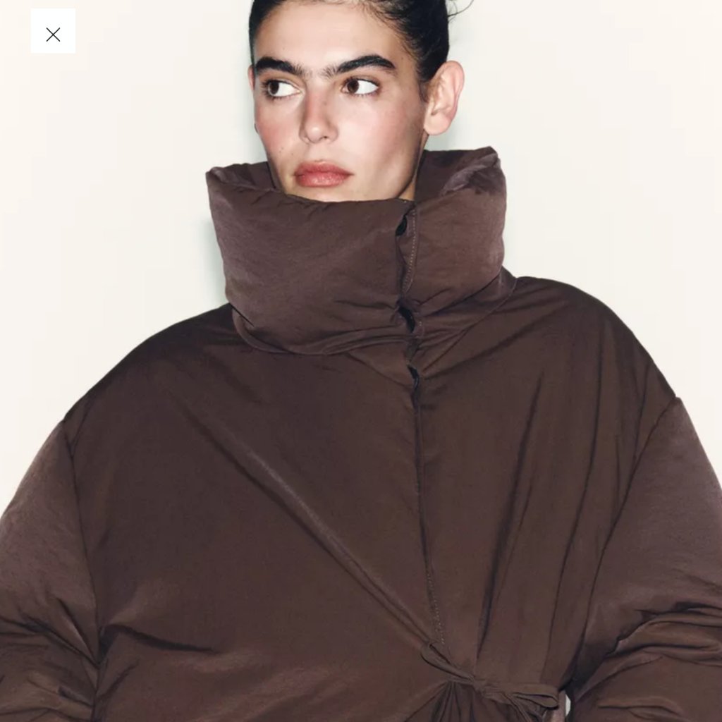 Zara Short Puffer Nwt